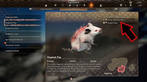 So I just reached a new part in the game and it wants me to find this shell skin and nowhere’s on the internet is it even listed as being in the game Related Topics Wild Hearts Action role-playing game Role-playing video game Action game Gaming comments sorted by. . Small kemono membrane